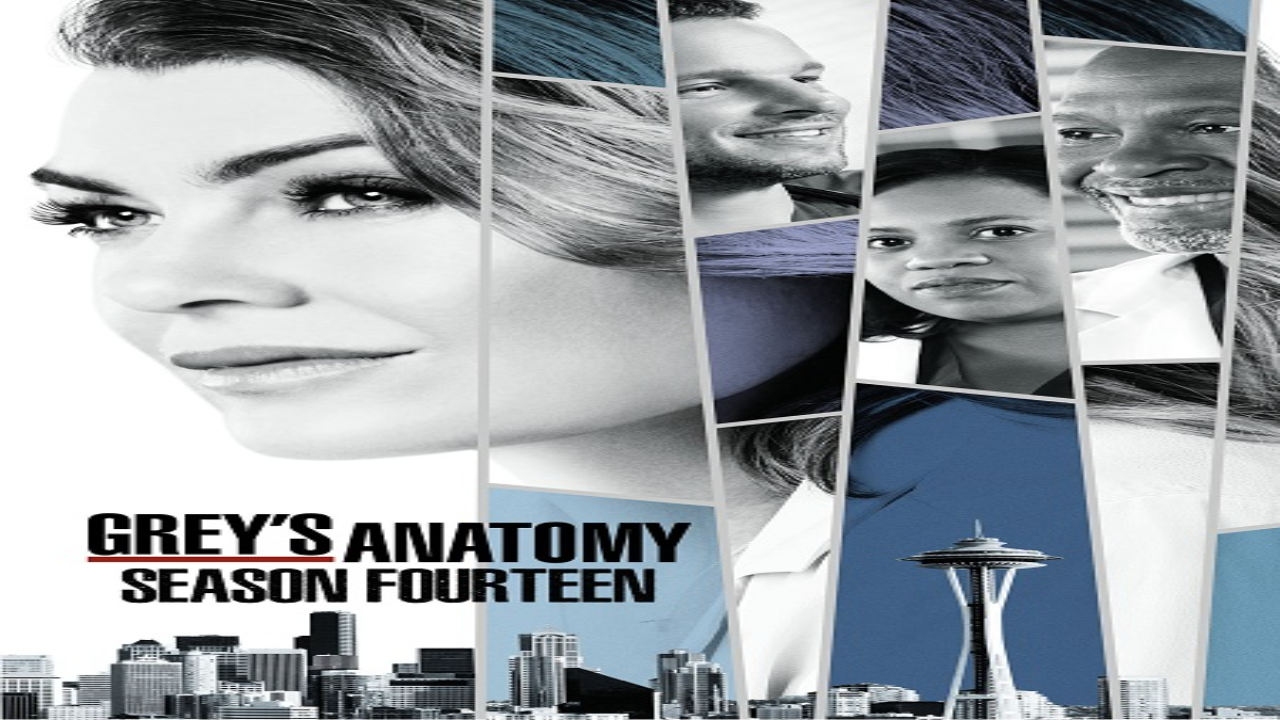 مسلسل Grey’s Anatomy الموسم الرابع عشر الحلقة 18 مترجمة كاملة HD